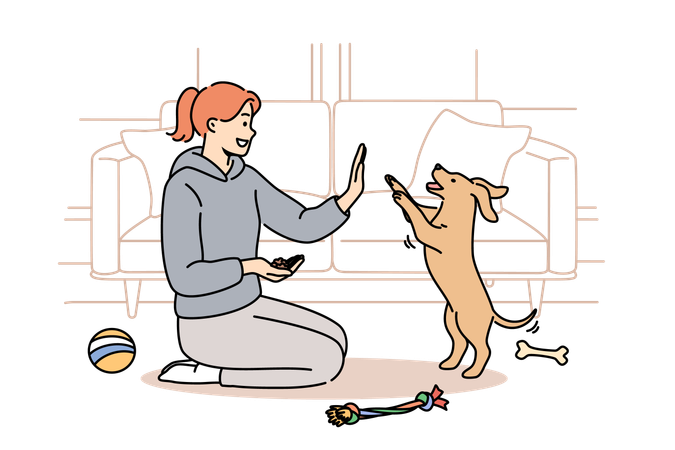 Woman trains dog while sitting on floor near sofa and giving food to puppy after following command  Illustration