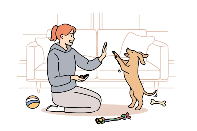 Woman Trains Dog Sitting On Floor Near Sofa And Giving Food To Puppy After Following Command Smart Dog Stands On Two Legs Fulfilling Requirements Of Female Trainer Who Enjoys Communicating With Pet Illustration