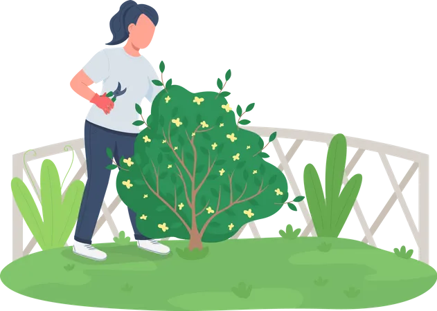 Woman trimming bush  Illustration
