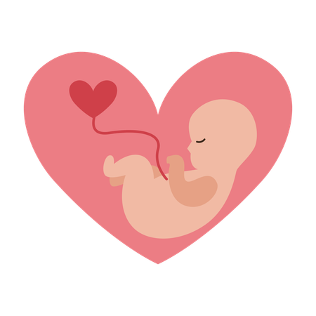 Woman undergoing Healthy Pregnancy  Illustration