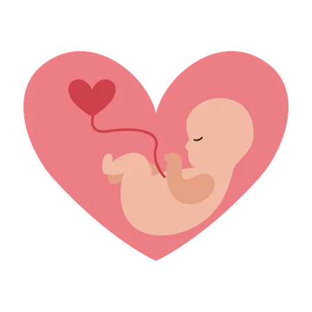 Woman undergoing Healthy Pregnancy  Illustration