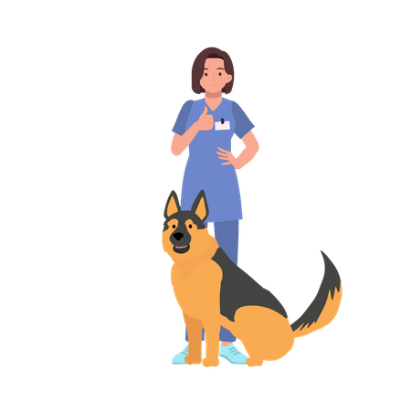 Woman Vet With Dogs  Illustration