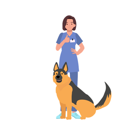 Woman Vet With Dogs  Illustration