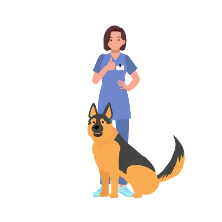 Woman Vet With Dogs  Illustration