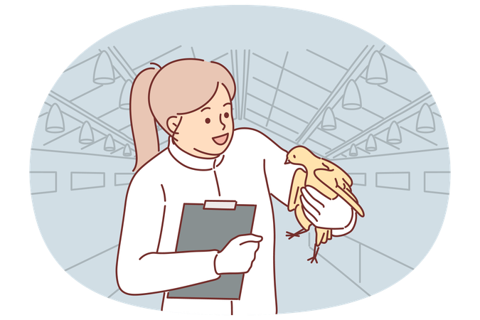 Woman veterinarian with chicken in hands works at poultry farm checking chickens for infections  Illustration