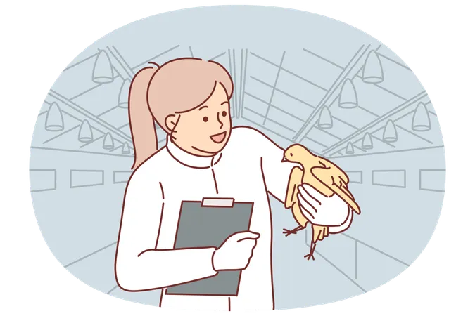 Woman veterinarian with chicken in hands works at poultry farm checking chickens for infections  Illustration