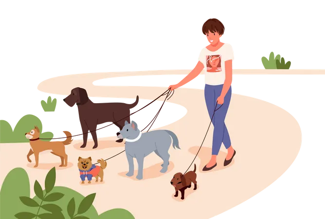Woman walking in pets in park  Illustration