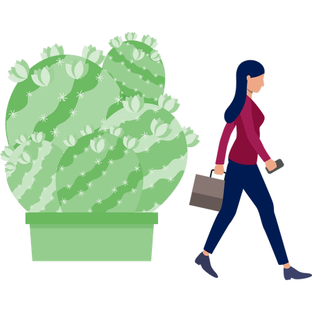 Woman walking near Echinococcus Grassini cactus  Illustration