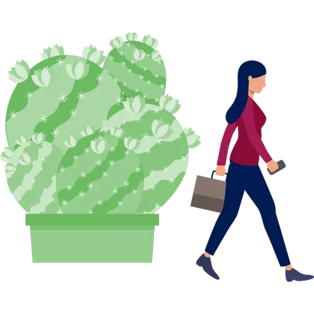 Woman walking near Echinococcus Grassini cactus  Illustration