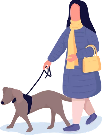 Woman Walking With Dog Semi Flat Color Vector Character Dynamic Figure Full Body Person On White Outdoor Activity Isolated Modern Cartoon Style Illustration For Graphic Design And Animation Illustration