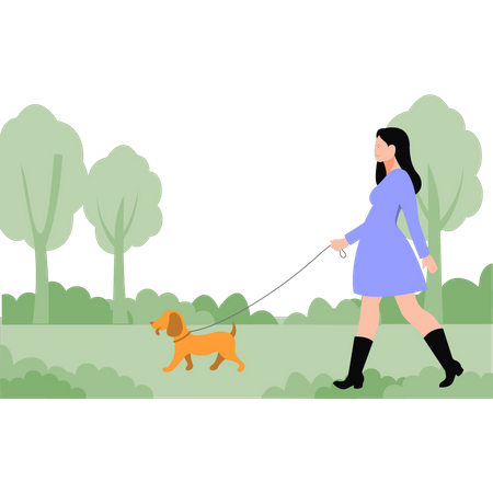 Woman walking with dog in park  Illustration