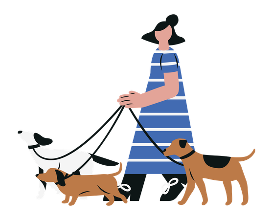Woman Walking with Dogs  Illustration