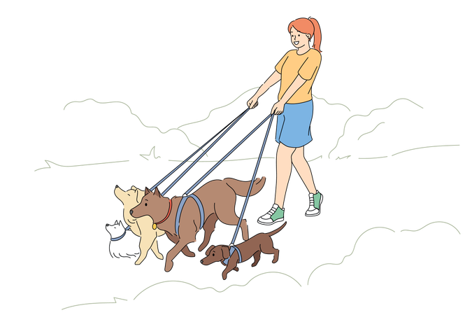 Woman walks dogs of different breeds  Illustration