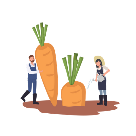 Woman watering big carrot Illustration