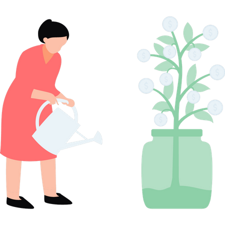 Woman watering dollar plant  Illustration