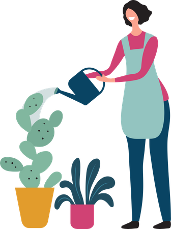 Woman watering plant  イラスト