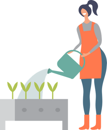 Woman watering plant  Illustration