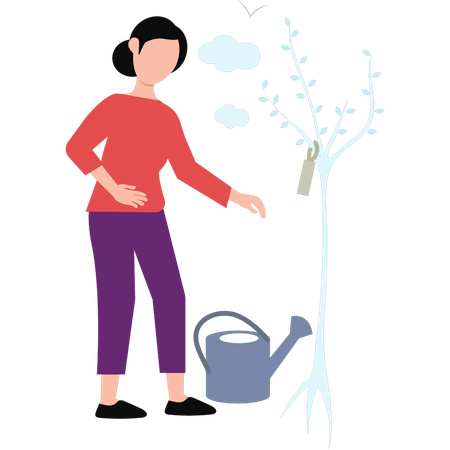 Woman Watering Plants  Illustration