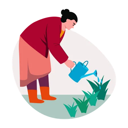 Woman Watering plants  Illustration