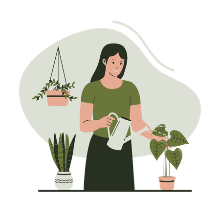 Woman watering plants in pots  Illustration