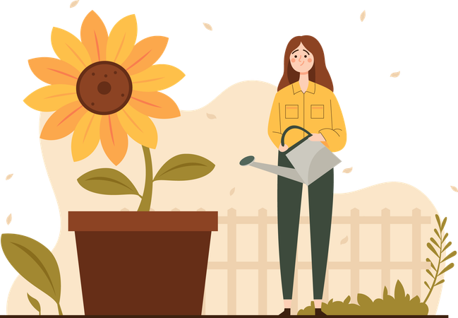 Woman Watering Sunflowers  Illustration