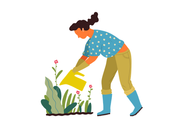 Woman watering to plant  Illustration