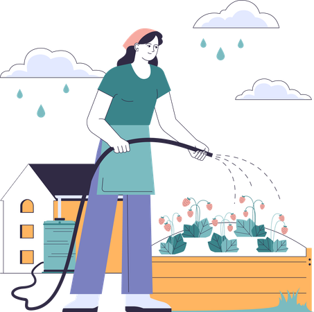 Woman waters rainwater to plants  イラスト