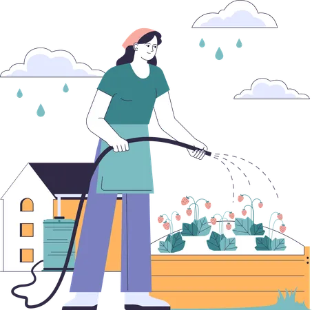 Woman waters rainwater to plants  イラスト