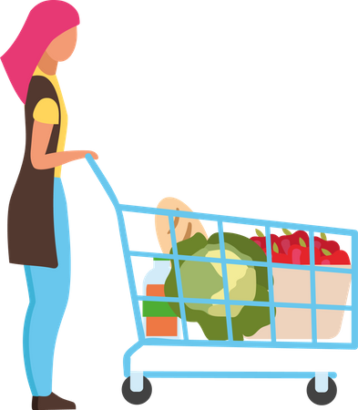 Woman with shopping cart shopping for groceries  Illustration