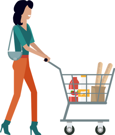 Woman with shopping cart  Illustration