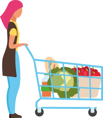 Woman with shopping cart shopping for groceries  Illustration