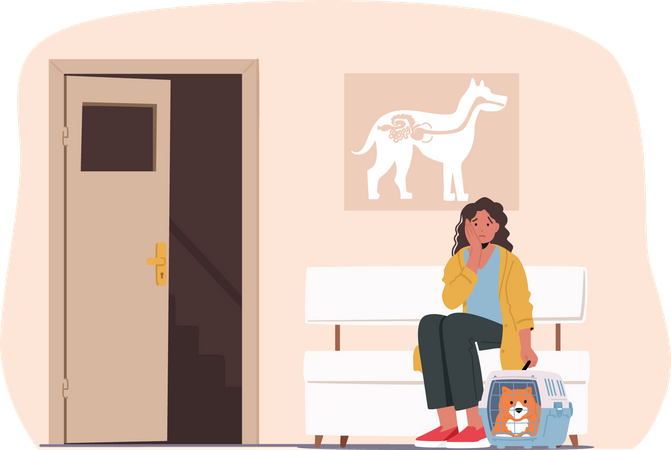 Woman with Sick Pet Came to Veterinary Clinic for Treatment  Illustration