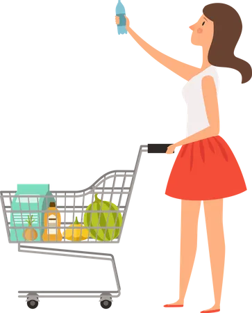 Woman with trolley in market  Illustration