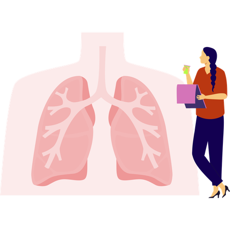Woman working on lungs  Illustration