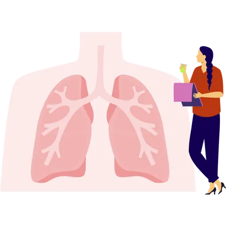 Woman working on lungs  Illustration