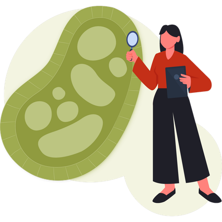 Women searching bacteria virus  Illustration