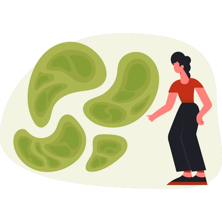 Women showing genetic beans  Illustration