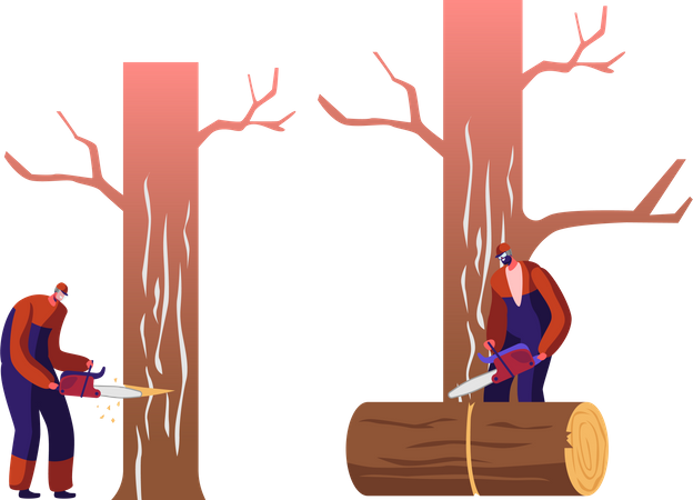 Worker Cutting Tree and Collecting Logs  Illustration