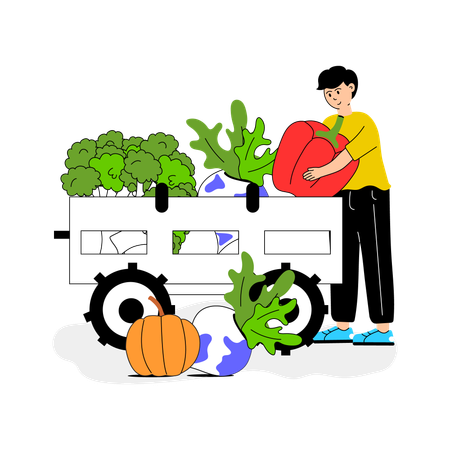 Worker loading freshly harvested vegetables into a vehicle  Illustration