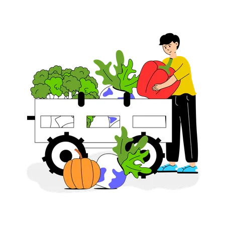 Worker loading freshly harvested vegetables into a vehicle  Illustration