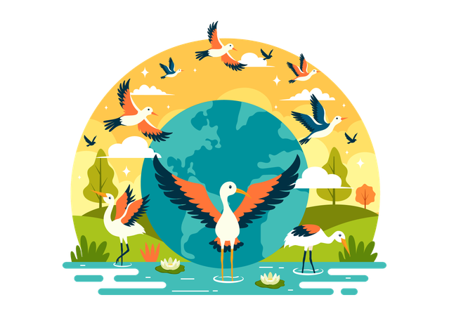 World bird migratory day celebration  Illustration