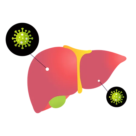 World hepatitis day  Illustration