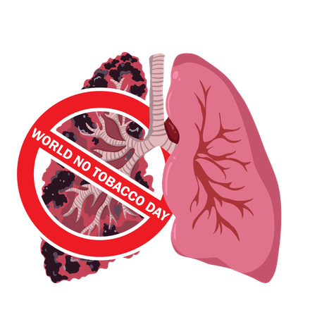 World No Tobacco Day Illustration of healthy lungs and lungs damaged by smoking  Illustration