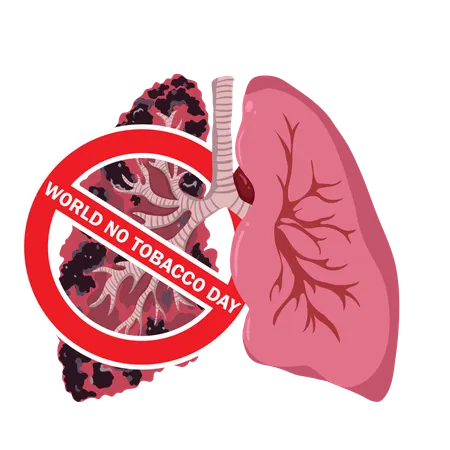 World No Tobacco Day Illustration of healthy lungs and lungs damaged by smoking  Illustration