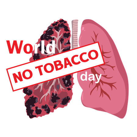 World No Tobacco Day Lungs showing the effects of smoking  Illustration