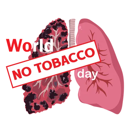 World No Tobacco Day Lungs showing the effects of smoking  Illustration