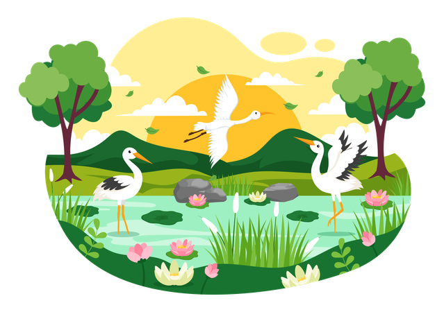 World Wetlands Day  Illustration