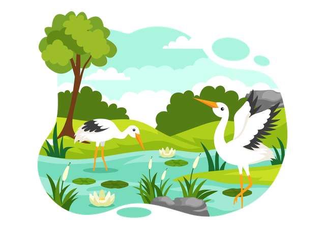 World Wetlands Day  Illustration