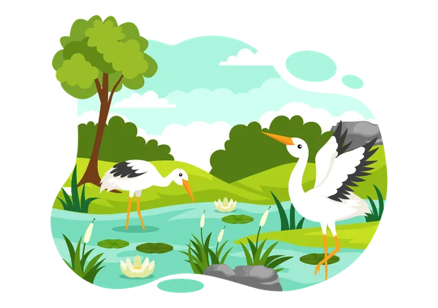 World Wetlands Day  Illustration