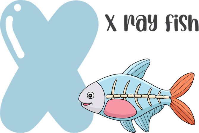 X ray fish  イラスト